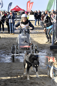 Baltic Lights Hunderennen 2019 auf Usedom