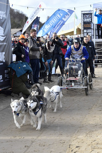 Baltic Lights Hunderennen 2019 auf Usedom