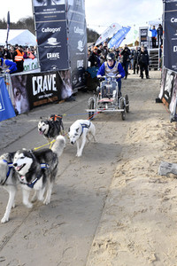 Baltic Lights Hunderennen 2019 auf Usedom