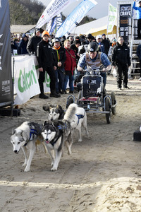 Baltic Lights Hunderennen 2019 auf Usedom