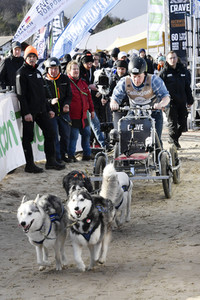 Baltic Lights Hunderennen 2019 auf Usedom
