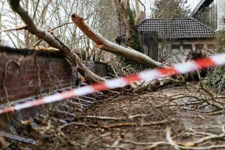 Symbolfoto Sturmschäden
