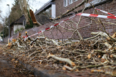 Symbolfoto Sturmschäden