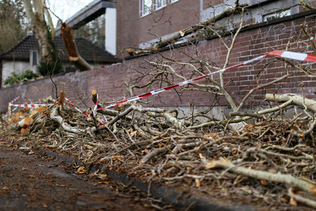 Symbolfoto Sturmschäden