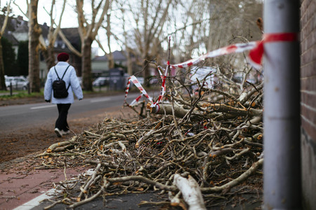Symbolfoto Sturmschäden