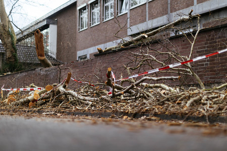 Symbolfoto Sturmschäden