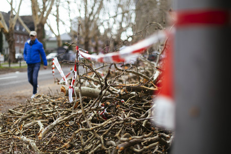 Symbolfoto Sturmschäden