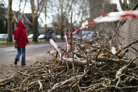 Symbolfoto Sturmschäden