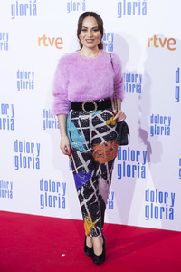 Filmpremiere 'Dolor y gloria' in Madrid