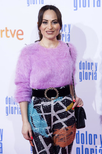 Filmpremiere 'Dolor y gloria' in Madrid