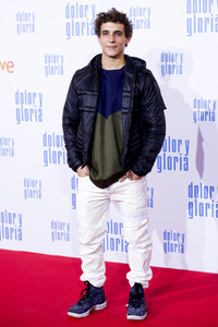 Filmpremiere 'Dolor y gloria' in Madrid