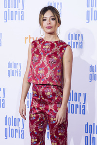 Filmpremiere 'Dolor y gloria' in Madrid