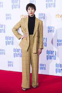 Filmpremiere 'Dolor y gloria' in Madrid