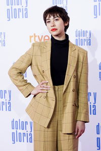 Filmpremiere 'Dolor y gloria' in Madrid