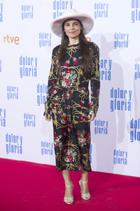 Filmpremiere 'Dolor y gloria' in Madrid