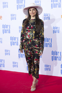 Filmpremiere 'Dolor y gloria' in Madrid