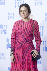 Filmpremiere 'Dolor y gloria' in Madrid