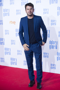 Filmpremiere 'Dolor y gloria' in Madrid