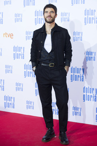 Filmpremiere 'Dolor y gloria' in Madrid
