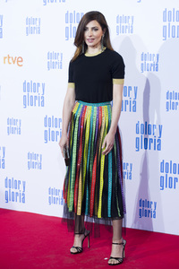 Filmpremiere 'Dolor y gloria' in Madrid