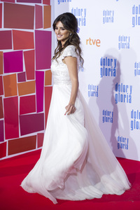 Filmpremiere 'Dolor y gloria' in Madrid