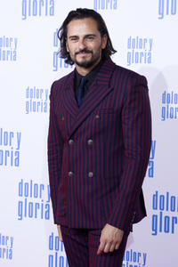 Filmpremiere 'Dolor y gloria' in Madrid