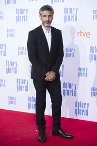 Filmpremiere 'Dolor y gloria' in Madrid