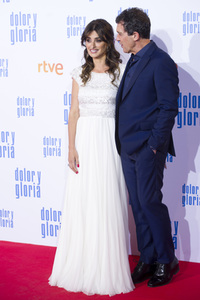 Filmpremiere 'Dolor y gloria' in Madrid
