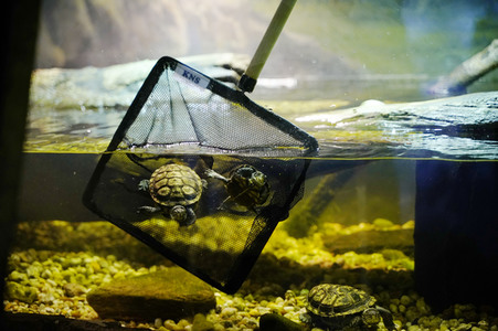 Frühjahrsputz im AquaDom & Sea Life Berlin