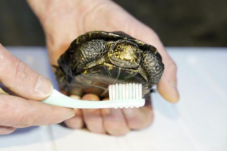 Frühjahrsputz im AquaDom & Sea Life Berlin