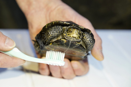 Frühjahrsputz im AquaDom & Sea Life Berlin