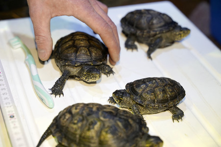 Frühjahrsputz im AquaDom & Sea Life Berlin
