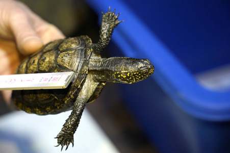 Frühjahrsputz im AquaDom & Sea Life Berlin