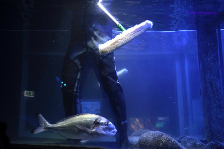 Frühjahrsputz im AquaDom & Sea Life Berlin