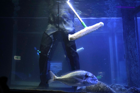 Frühjahrsputz im AquaDom & Sea Life Berlin