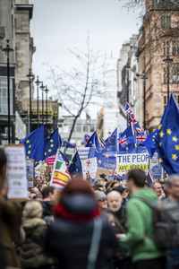 Anti-Brexit-Demonstration in London