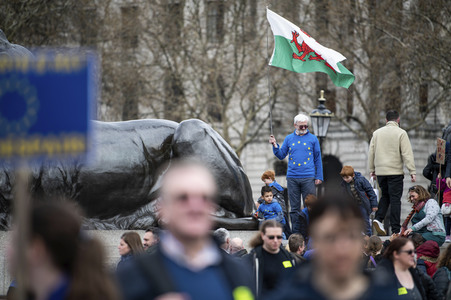 Anti-Brexit-Demonstration in London