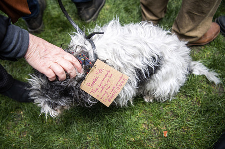 Anti-Brexit-Demonstration in London