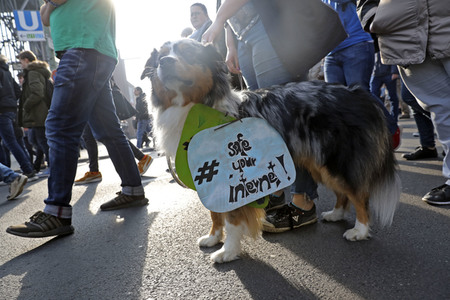 Demonstration gegen Urheberrechtsreform der EU in Berlin