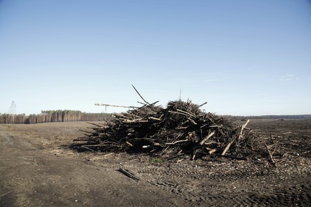 Waldbrandflächen bei Treuenbrietzen