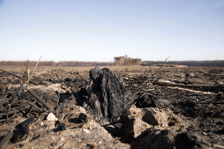 Waldbrandflächen bei Treuenbrietzen