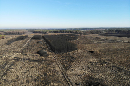 Waldbrandflächen bei Treuenbrietzen
