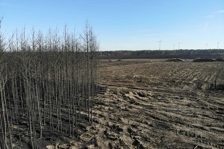 Waldbrandflächen bei Treuenbrietzen