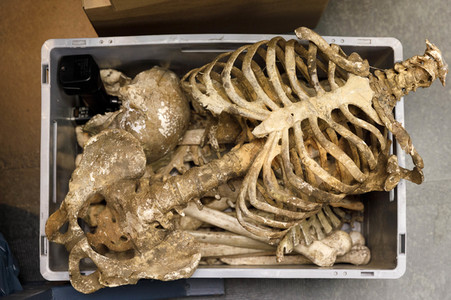 Settermin 'Tatort - Lakritz' in Köln