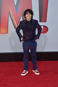 Filmpremiere 'Shazam!' in Los Angeles