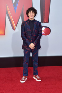 Filmpremiere 'Shazam!' in Los Angeles