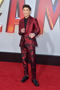 Filmpremiere 'Shazam!' in Los Angeles