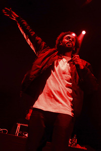 Konzert von Afrob in Hannover