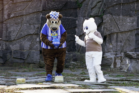 Eisbär-Taufe im Tierpark Berlin