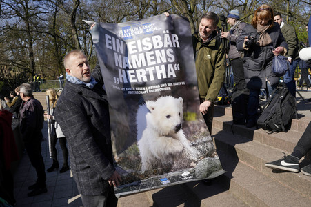 Eisbär-Taufe im Tierpark Berlin